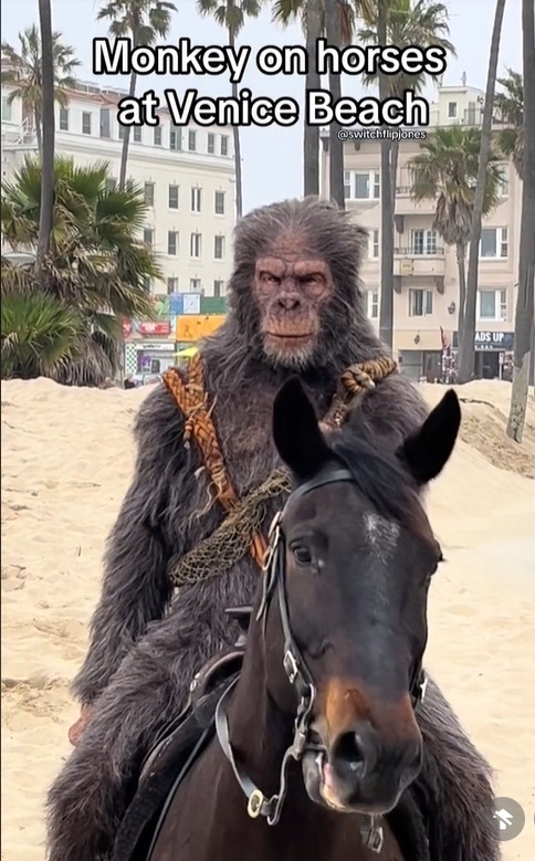 猿が馬に乗ってLAのビーチをパトロール！？　映画「猿の惑星／キングダム」の仰天キャンペーン