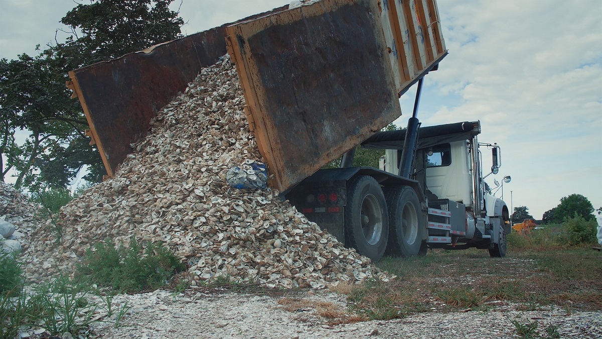牡蠣を巡るクィアなドキュメンタリー「水の中で息をする ―彼女でも彼でもなく―」メインビジュアル、場面写真解禁
