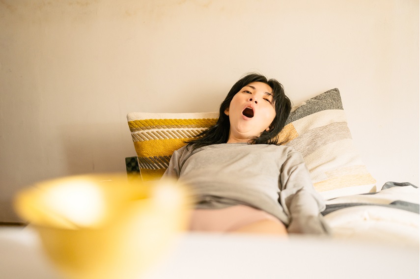 田中麗奈主演“100億円の秀吉の金茶碗”をめぐるクライム・コメディ「黄金泥棒」場面写真&本編映像解禁