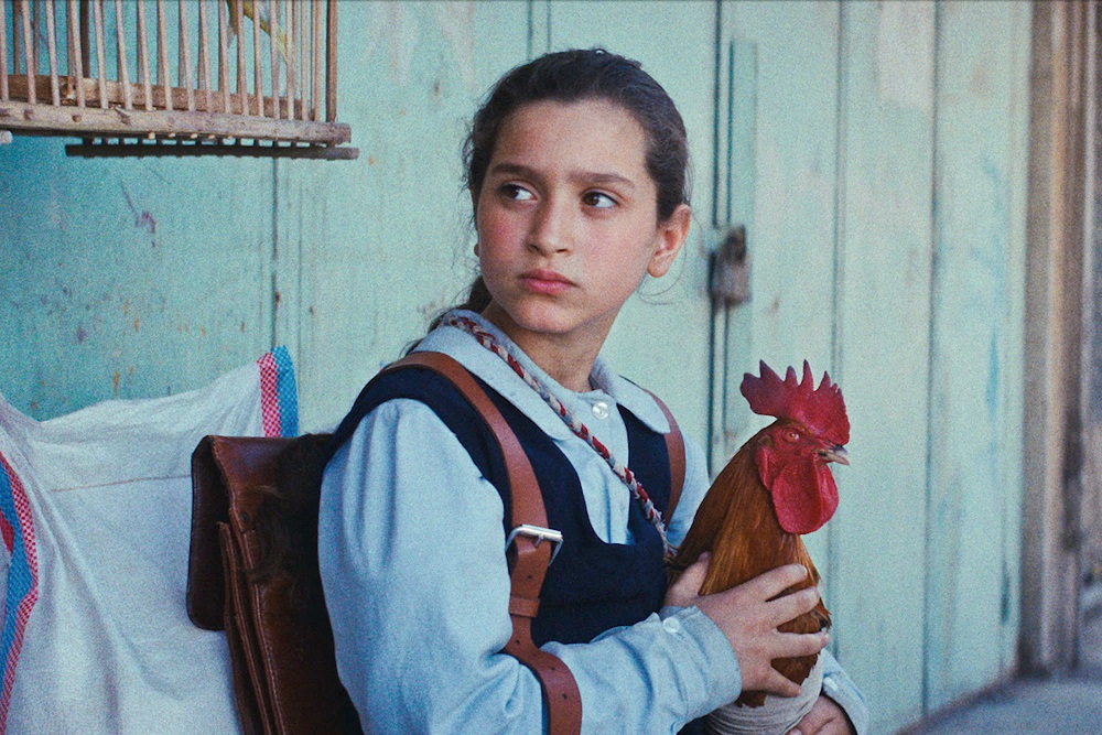 「大統領のケーキ」特報、場面写真解禁 アカデミー賞国際長編映画イラク代表、カンヌ新人監督賞・監督週間観客賞　
　