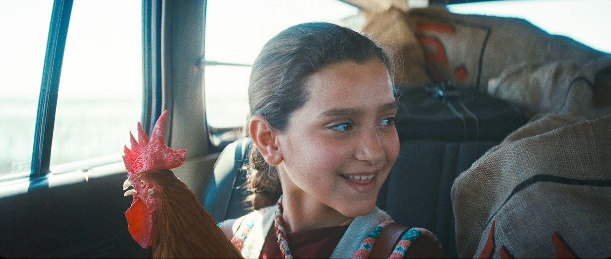 「大統領のケーキ」特報、場面写真解禁 アカデミー賞国際長編映画イラク代表、カンヌ新人監督賞・監督週間観客賞
　